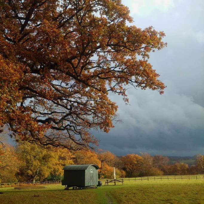 Skylark Shepherds Hut Royal Tunbridge Wells